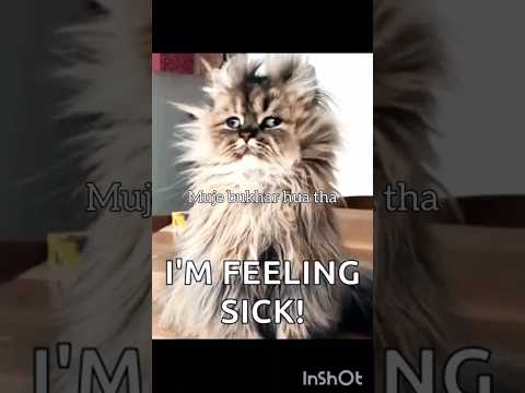 kahani suno 2.0 very funny  #shorts #shortvideo #youtubeshorts
