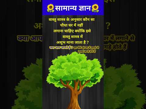 वास्तु शास्त्र के अनुसार इस पौधे को घर में लगाना अशुभ माना जाता है? // GK question // #shorts #gk