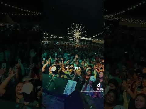 #เพลงใต้หรอยแรง #เพลงฮิตสายเขียว