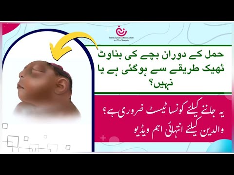 Expert Doctors Reveal Fetal Development SECRETS in Urdu