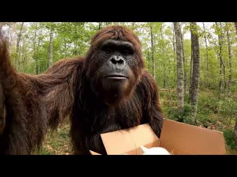 Bigfoot Vlogs - Compilation #4