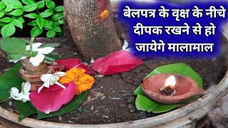 बेलपत्र के वृक्ष के नीचे दीपक लगाने से आप हो जाएंगे माल,बेलपत्र तोड़ने के नियम,बेलपत्र के धार्मिक ..