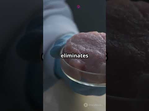 Is Lab-Grown Meat the Answer to World Hunger? @tech-universeofficals
