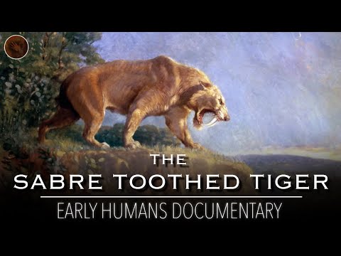 Sabre-Toothed Tigers: Ferocious Prehistoric Predators | Documentary