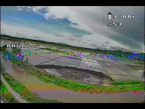 Birds eye view of a paddy field somewhere in Manipur