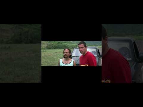 Adam's Best Buddy, Ever!  #adamsandler  #drewbarrymore  #robschneider  #50firstdates  #shorts