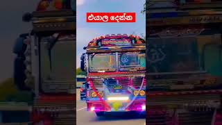 එයා 💙😍😍 #automobile #trending #trendingshorts #viralshorts #busdj #mayakirilli