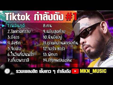 รวมเพลงฮิตในTikTokล่าสุด รวมเพลงฮิตในแอพติ๊กต๊อกล่าสุด | เพลินฤดี รวมเพลงใหม่ล่าสุด ไม่มีโฆษณากวนใจ