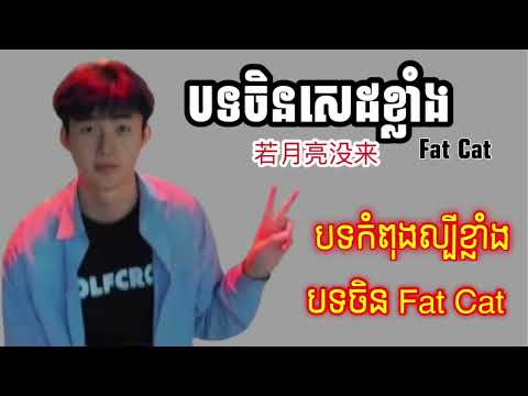 បទចិន Fat Cat   若月亮没来   王宇宙 បទចិនកំពុងល្បី កម្សត់ខ្លាំង SONG SAD 😔