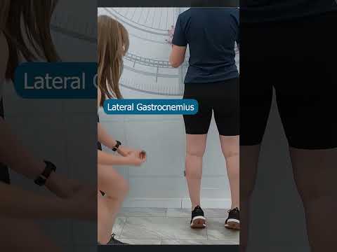 Gait Analysis Lab - Now Available #shorts_video #gaitanalysis #emg #stem