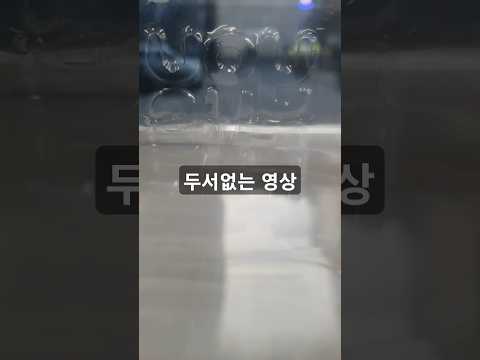 오늘 저녁 사리곰탕(by 두서없는영상)#브이로그 #먹방 #라면