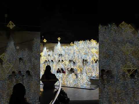 Namba Parks Illumination Osaka｜Winter Lights 2024