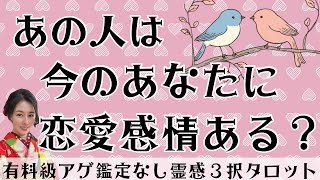 【見た時がタイミング🔔】相手は恋愛感情ある❓ツインレイ/ソウルメイト/運命の相手/複雑恋愛/曖昧な関係/復縁/片思い/音信不通/ブロック/未既読スルー/好き避け/恋愛/結婚/占い/リーディング/霊視
