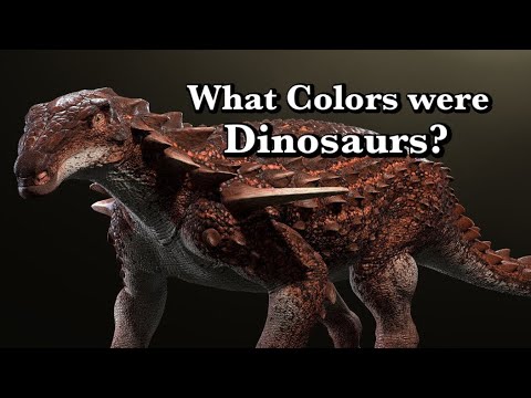 Dinosaur Coloration: No Longer a Mystery?