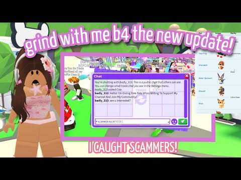 GRIND WITH ME BEFORE THE NEW UPDATE!!! *got the new egg*🫶🏻 *caught scammers!!*💞✨