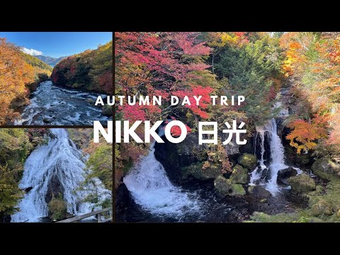 🇯🇵 Nikko Japan Travel in Autumn | Ryuzu & Yudaki Falls, things to do, eat and getting around