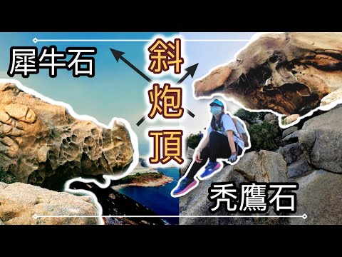 【奇石之旅】～又係「犀牛🦏」又係「秃鷹🦅」???)｜與可愛小豬打卡🐷