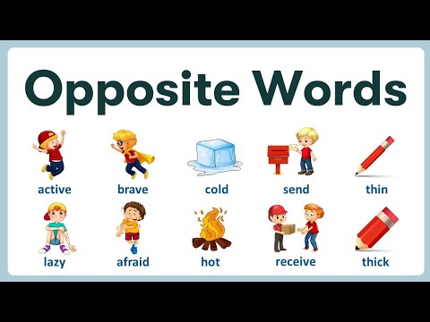 Names of opposite words | Opposite names | different names of opposite things | @Lifeofkids-lg3ez
