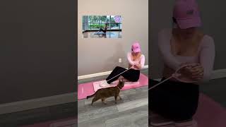 At Home Pilates Reformer Workout for Beginners (No Equipment Needed)