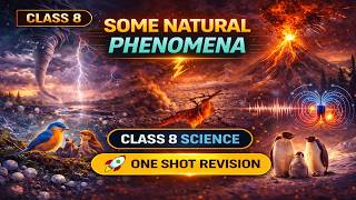 CBSE Class 8 || Science || Some Natural Phenomena || Animation || in English