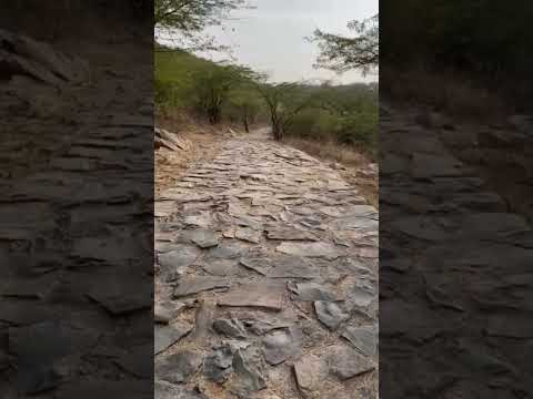 Khoobsoorat Nazare❤️ #nature #naturelovers #forest #shortvideo #ytshorts #relax