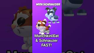 Get Munchkin Cat & Mini Schnauzer Fast in #AdoptMe #homepass