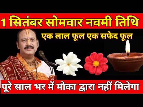 1 सितंबर गणेश नवमी: एक लाल फूल और एक सफेद फूल का अद्भुत उपाय जरूर करें