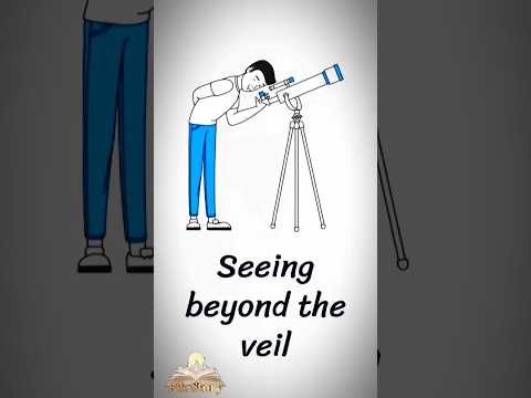 What Is Your Cat Really Staring At?