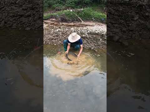 Searching Under Sand and Gravel for Gold – Massive Find! #gold #camping #treasuresearch
