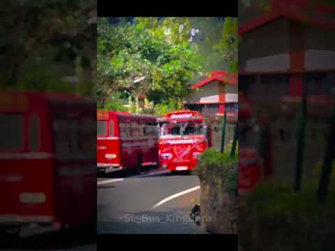 පාස් ගහගෙනමයි යන්නේ❤😍 | #automobile  #srilanka #love #bus #dj #travel #buses #red #pass #beautiful |