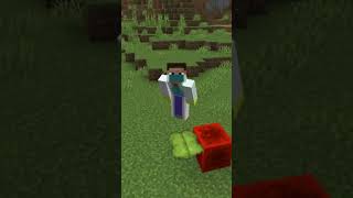 Minecraft 1.19 Myths.... #mcaddon #shorts