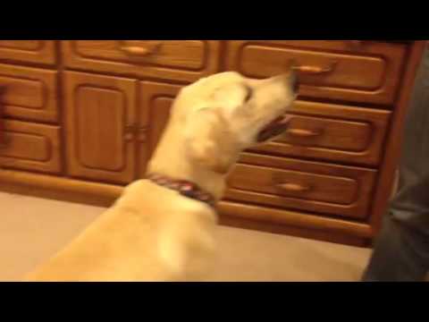 IMG 1380