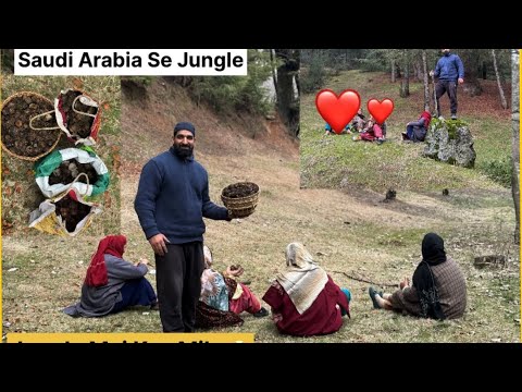 Saudi Arabia Se Kashmiri Jungle 😳Jungle Mai Kya Sabzi Mili ❤️ #jungle #sabzi #kashmir #wildanimals