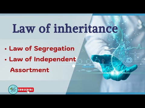 Mendel's Laws of inheritance || Law of Segregation || Law of Independent Assortment || Genetics