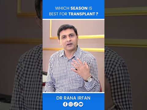 Which is Best Season for Hair Transplant ?#drranairfan #hairfall #hairtransplant #fyp #shorts