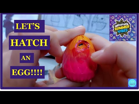HATCHTOPIA SUMMER VIBES  | HATCHIMALS COLLEGTIBLES UNBOXING | N GIRLS TV
