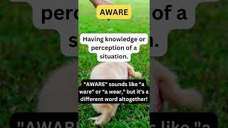 Fun with English: Learn & Laugh!📖Learn & Never forget a word again! 💡🔥 #WordPlay #funnyenglish