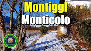 Montiggl, Eppan - Monticolo, Appiano | Südtirol - Alto Adige - South Tyrol