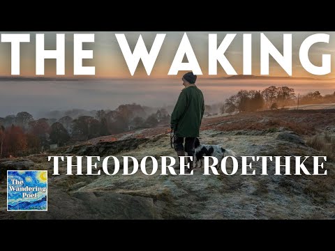 THE WAKING - poem by Theodore Roethke (powerful life poetry) | Wandering Poet Cafe
