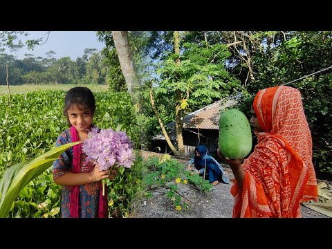 আদরের মেহমান গিরস্তের সব সবজি নিয়ে এলো বিনা টাকায় | BSL Daily Life