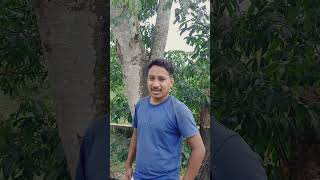 Gita Vani//#gitavani #gita #gitavaniassamese #motivation #motivational #motivationalvideo