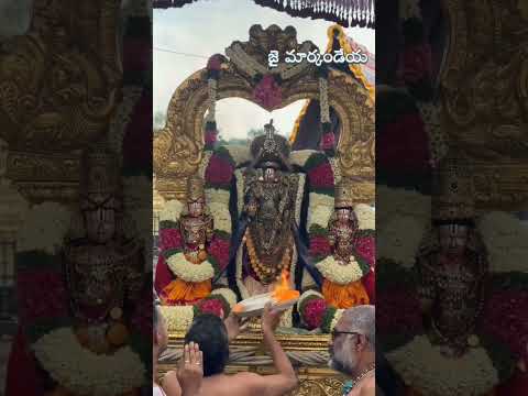 #govinda #ttdtemple #tirumala #tirumalatirupati #tirupatibalaji #balaji #balajibhajan
