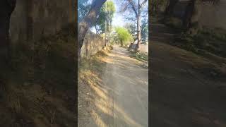 #fan_bholenath_ki #mstti#short_video #viral #short_video #cretive #jangal