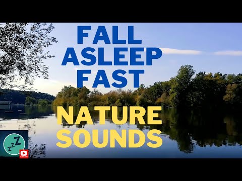 SLEEP MEDITATION Nature Sounds Birds Chirping FALL ASLEEP FAST Insomnia Relief SLEEP AID Calm Mind