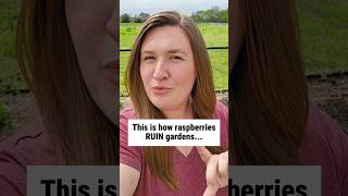 Most Gardeners Make This Big Raspberry Planting Mistake