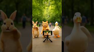 kucing, kelinci dan bebek joget lucu ☺ #lucu #cartoon #kucinglucu #virals #funny