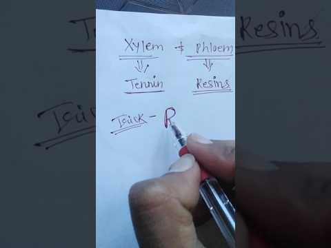 Xylem and Phloem Parenchyma secretion #tricks #neettrickstolearn #ytshorts