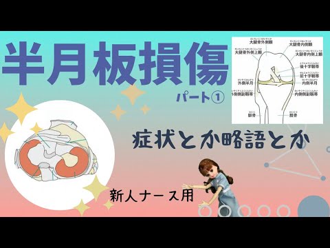 【半月板損傷①】症状とか略語最低限を簡潔に学ぶ★#整形外科#看護師#勉強