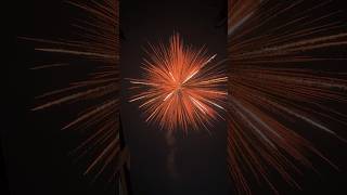 SONY VINAYAGA SKYSHOTS😍Testing Crackers Diwali Stash 2024 🎆 #patakhe #crackers nagpal & sons😍😍