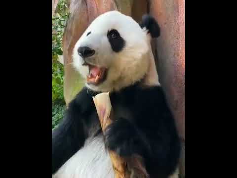 เครดิตฟรี 100 ไม่ฝากไม่แชร์ ถอนได้เลย   ดูใต้เม้นต์เลยจ้า!!
